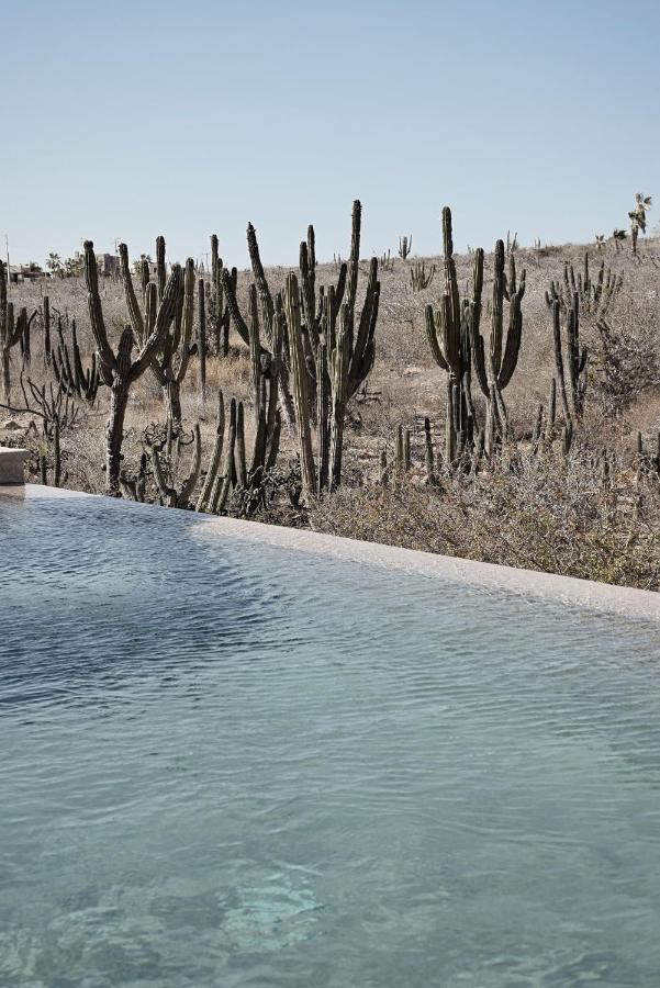 Desierto Azul Hotel Todos Santos Exterior photo