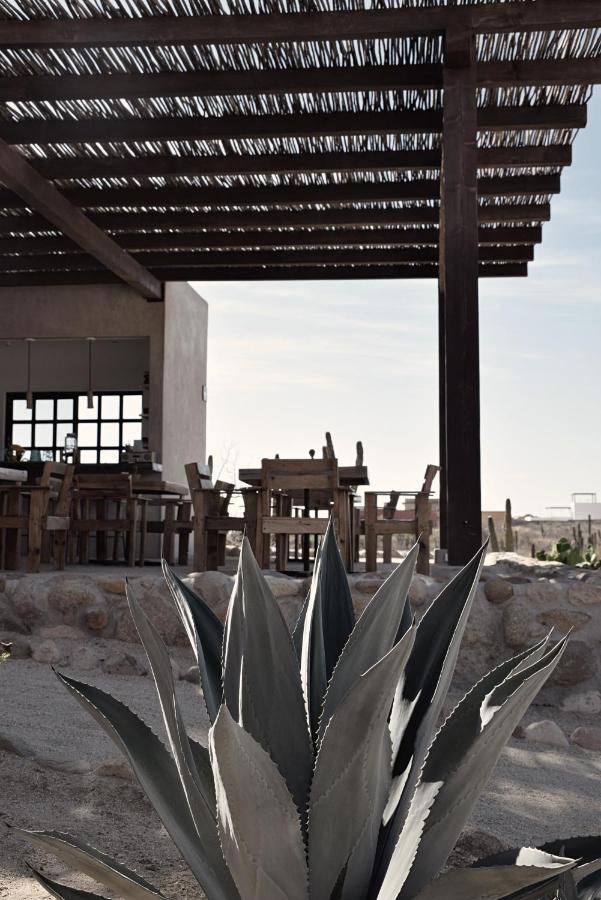 Desierto Azul Hotel Todos Santos Exterior photo